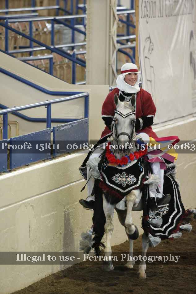 Proof Number 15R11_06183