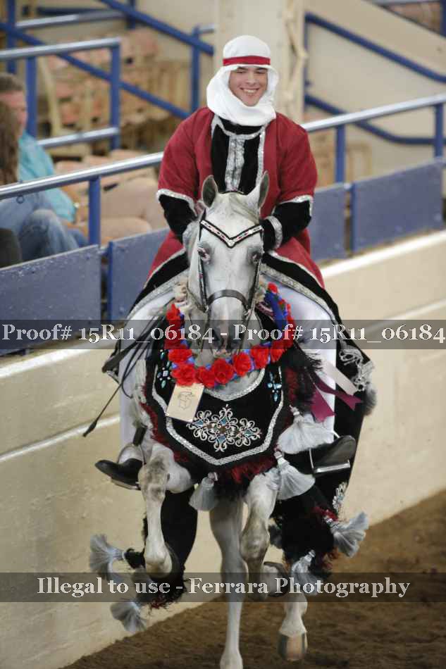 Proof Number 15R11_06184