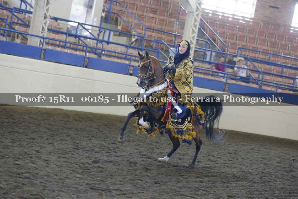 Proof Number 15R11_06185