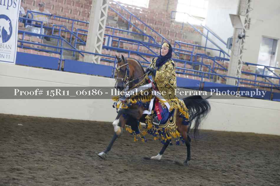 Proof Number 15R11_06186