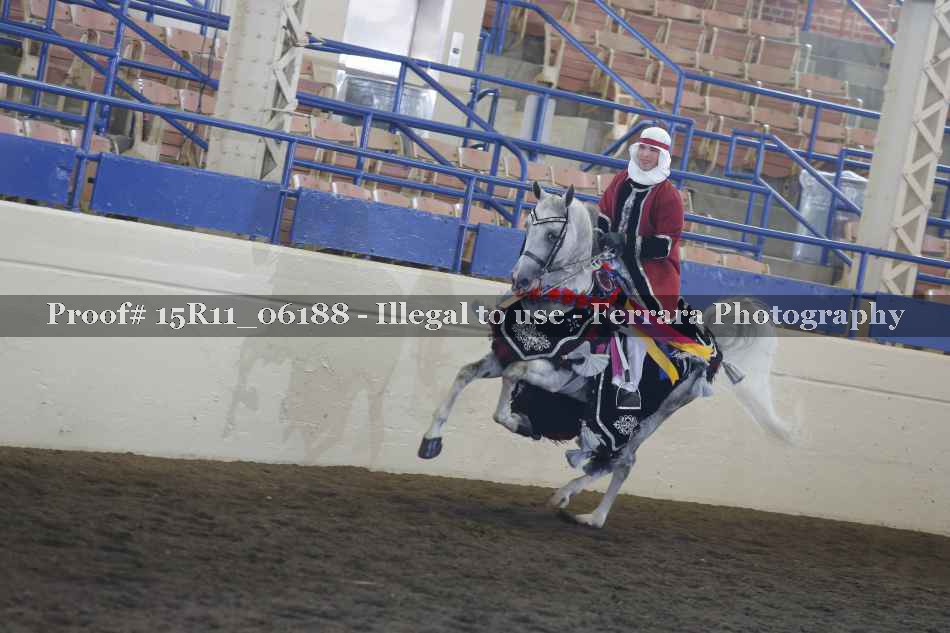 Proof Number 15R11_06188