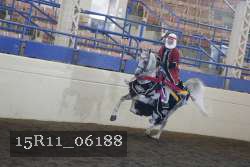 15R11_06188 thumbnail