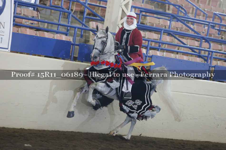 Proof Number 15R11_06189