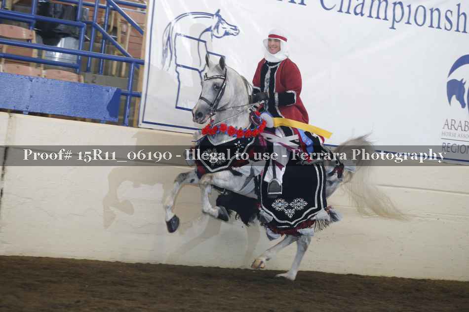 Proof Number 15R11_06190