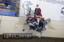 15R11_06190 thumbnail