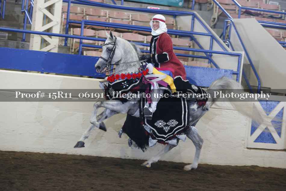 Proof Number 15R11_06191