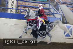 15R11_06191 thumbnail