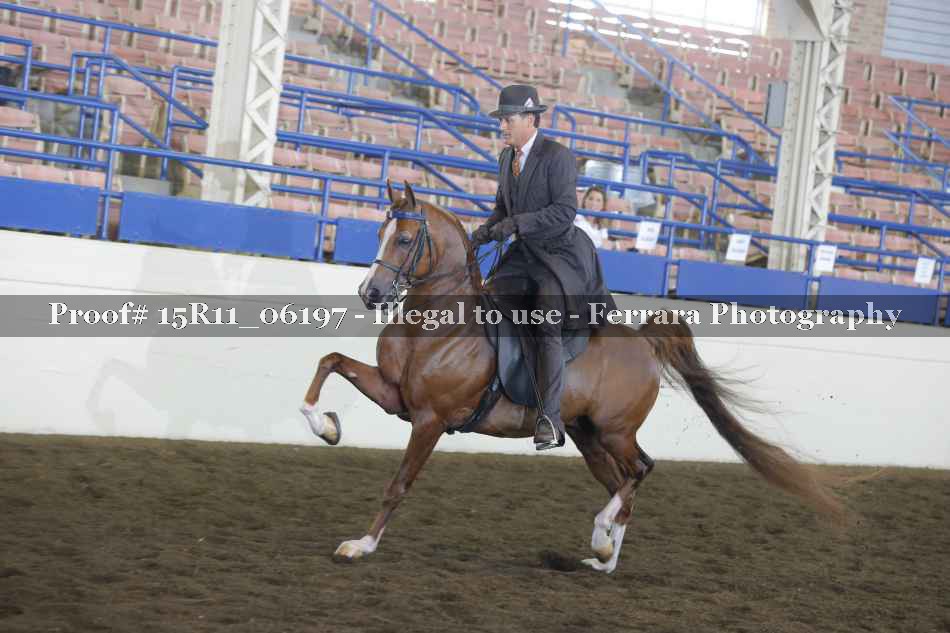 Proof Number 15R11_06197