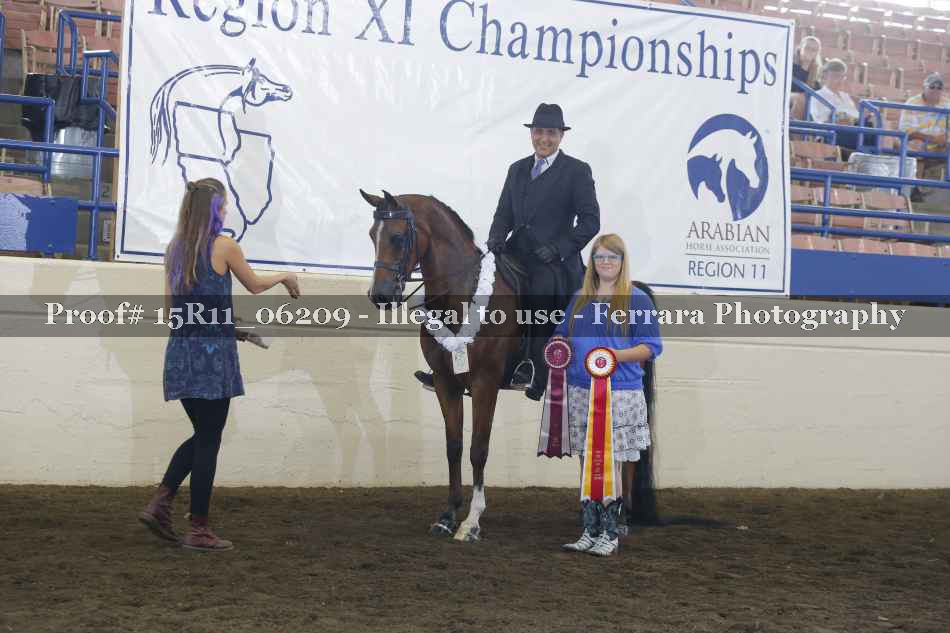 Proof Number 15R11_06209