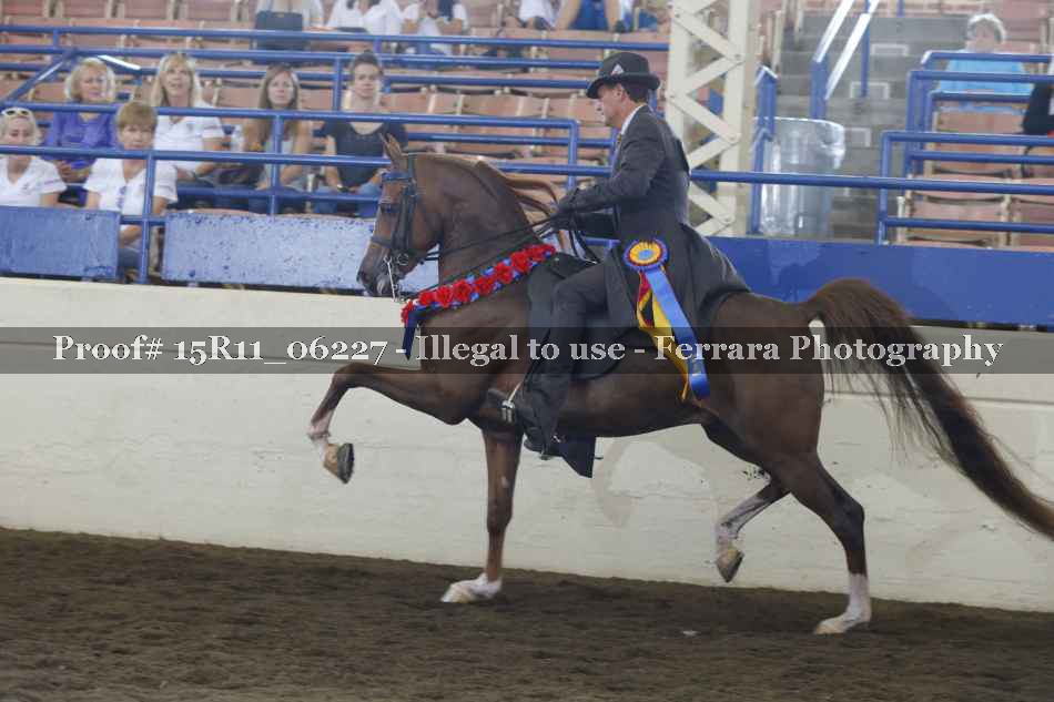 Proof Number 15R11_06227