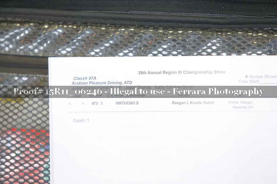 Proof Number 15R11_06246