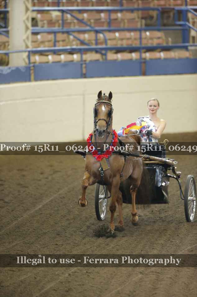 Proof Number 15R11_06249