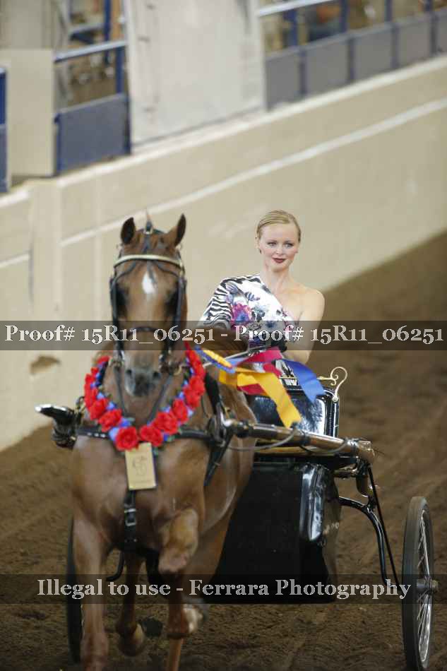 Proof Number 15R11_06251
