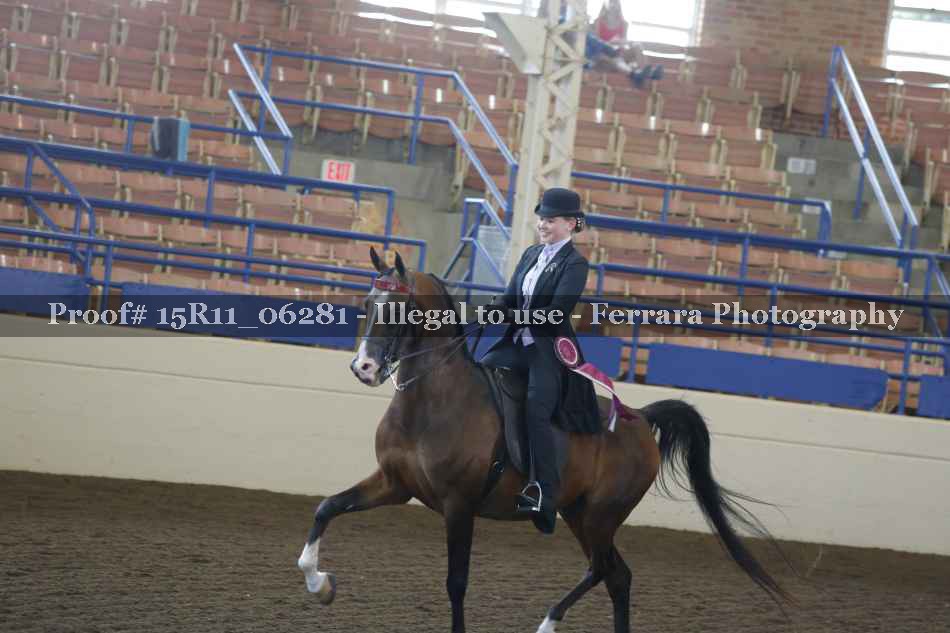 Proof Number 15R11_06281