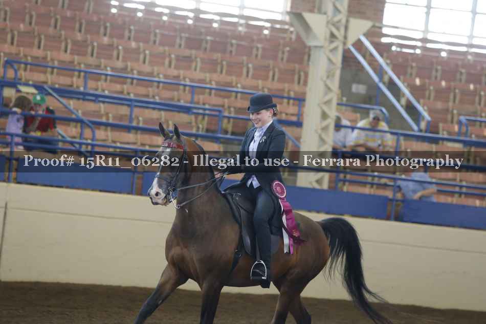 Proof Number 15R11_06282