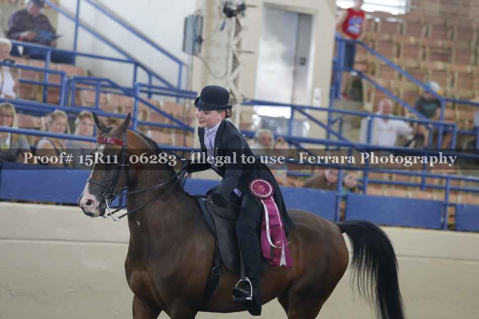 Proof Number 15R11_06283