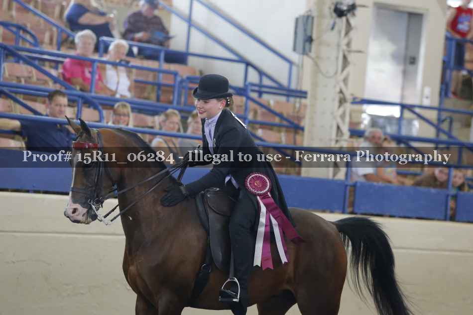 Proof Number 15R11_06284