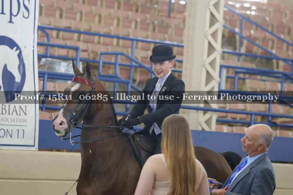 Proof Number 15R11_06285