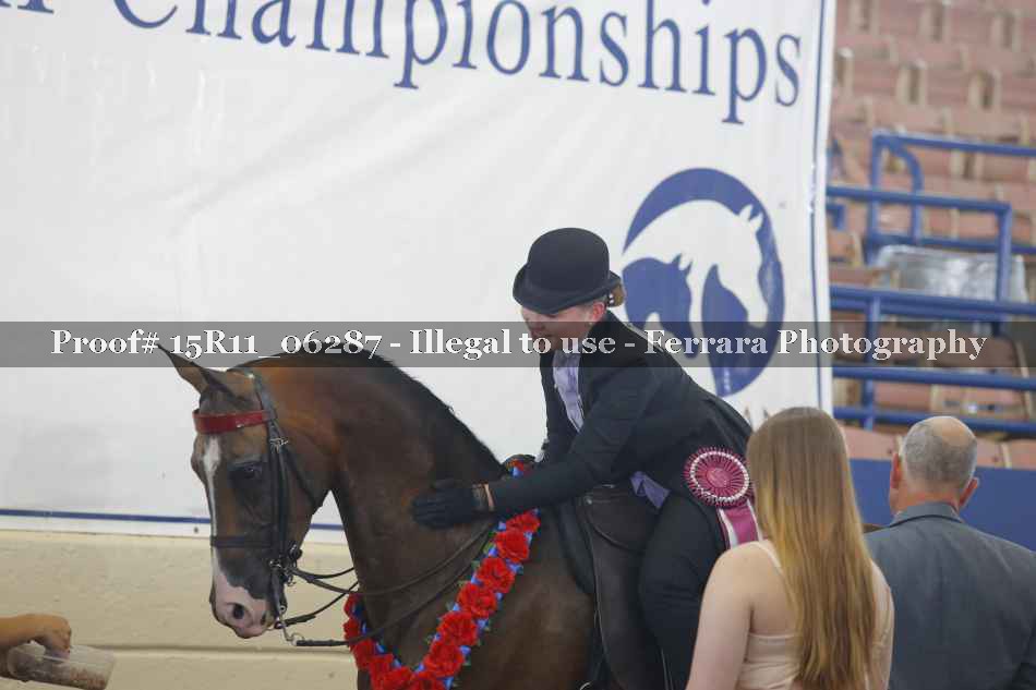 Proof Number 15R11_06287