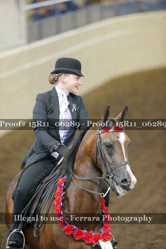 Proof Number 15R11_06289