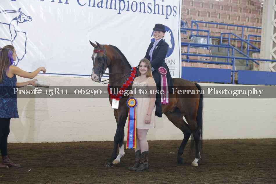 Proof Number 15R11_06290