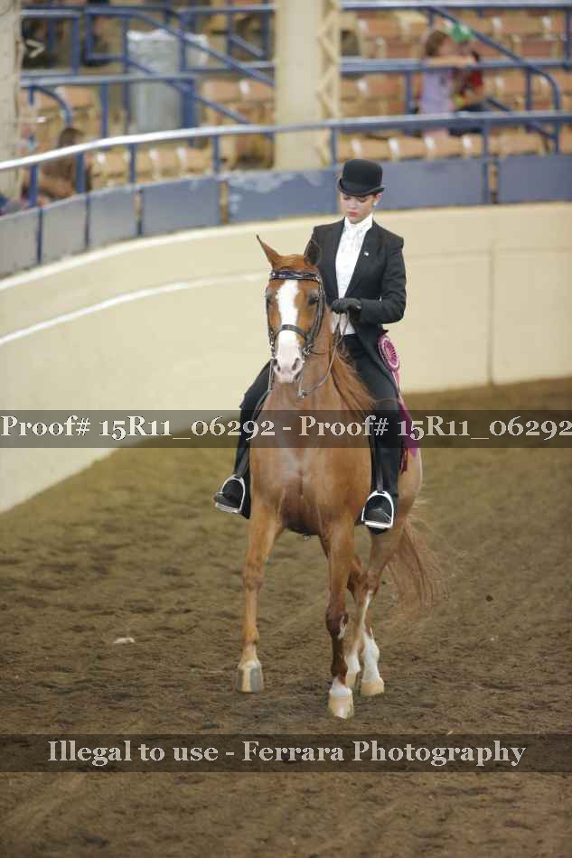 Proof Number 15R11_06292