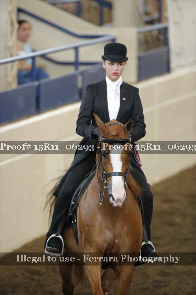 Proof Number 15R11_06293