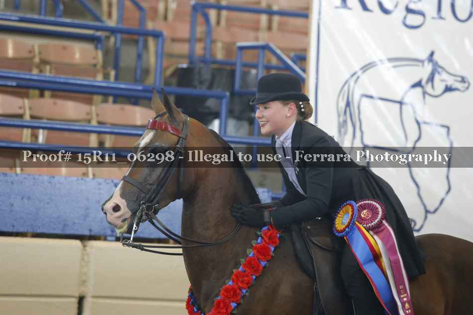 Proof Number 15R11_06298