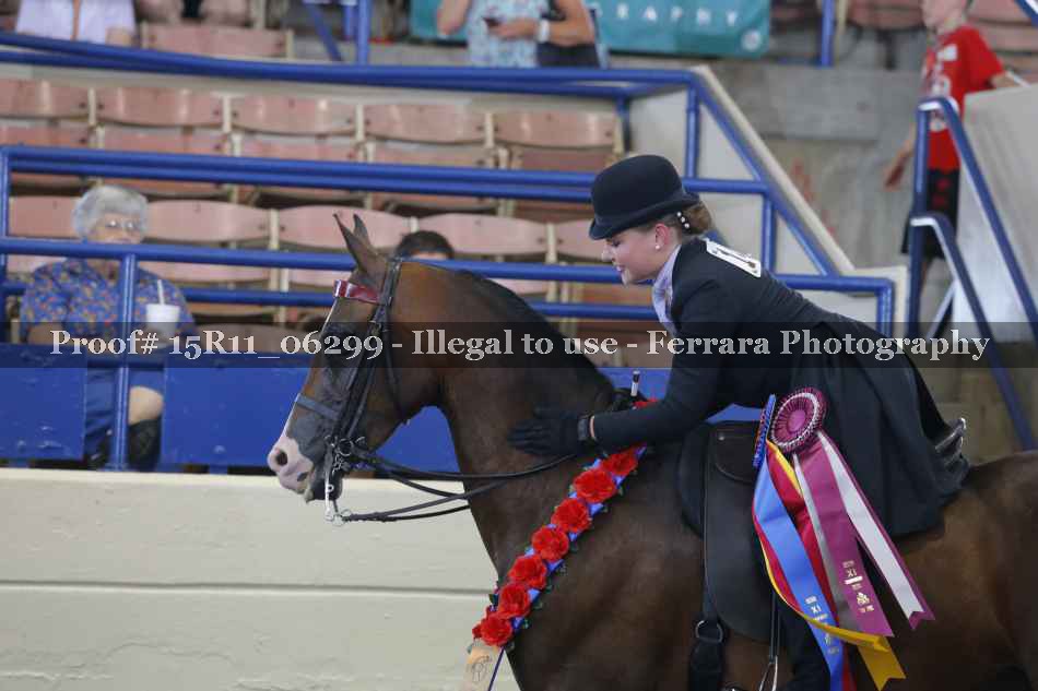 Proof Number 15R11_06299