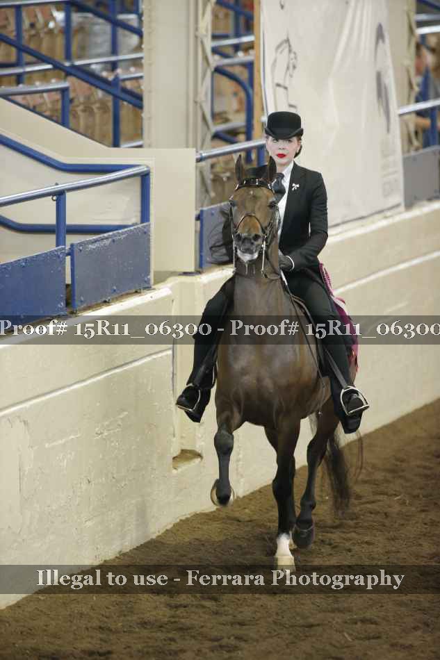 Proof Number 15R11_06300