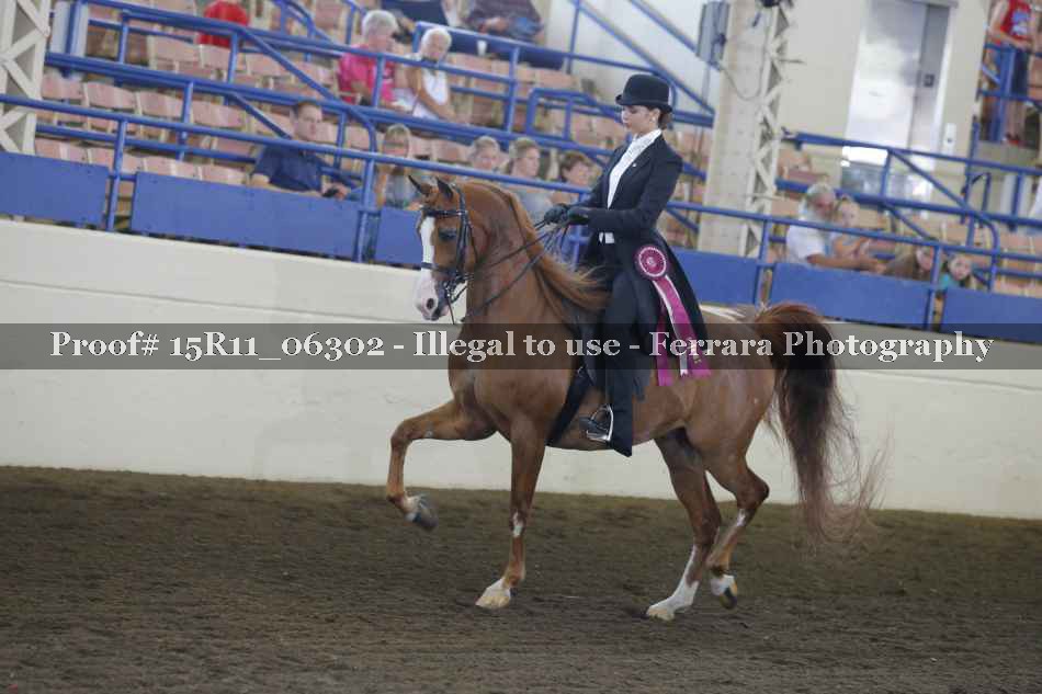 Proof Number 15R11_06302