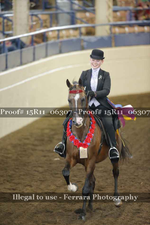 Proof Number 15R11_06307