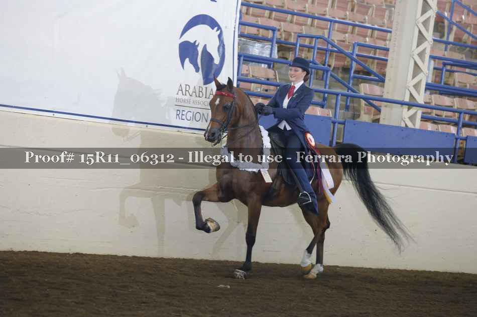Proof Number 15R11_06312