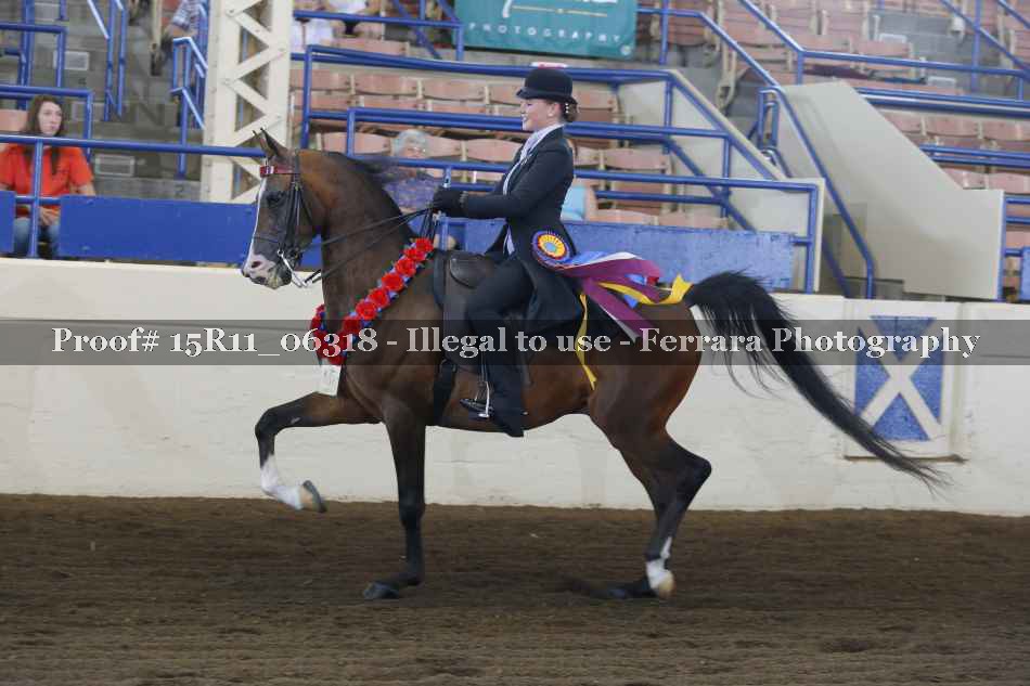 Proof Number 15R11_06318