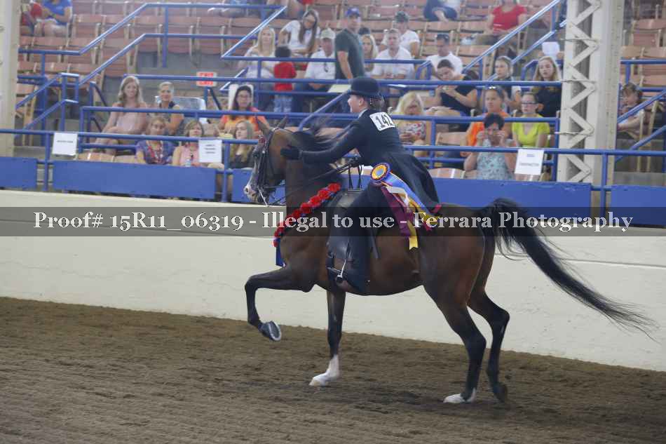 Proof Number 15R11_06319