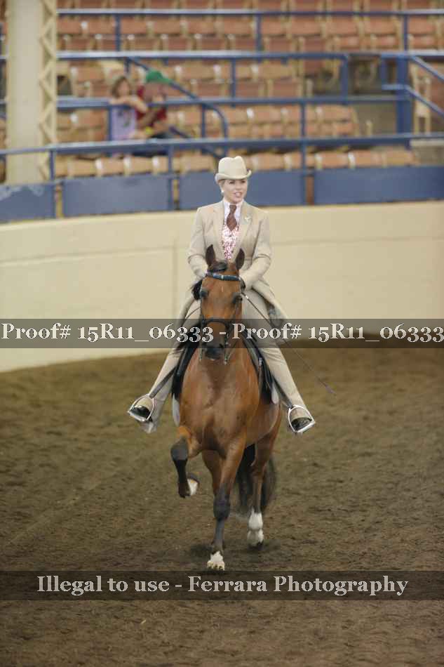Proof Number 15R11_06333