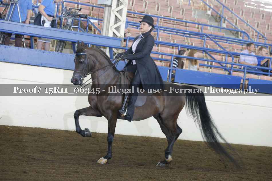 Proof Number 15R11_06345