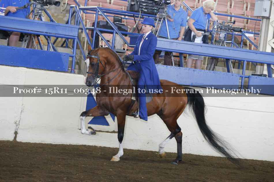 Proof Number 15R11_06348
