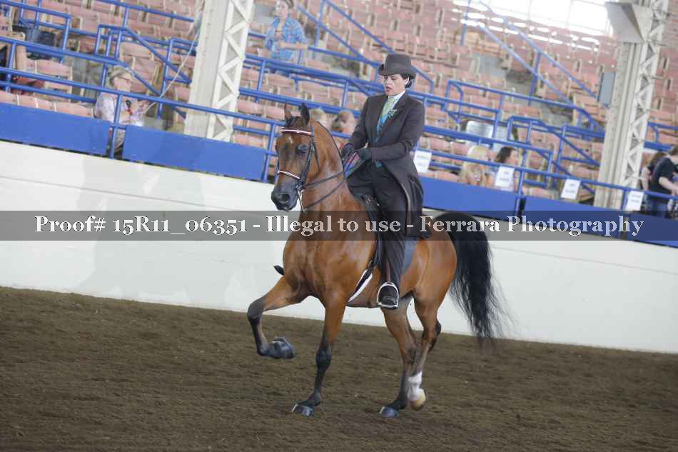 Proof Number 15R11_06351