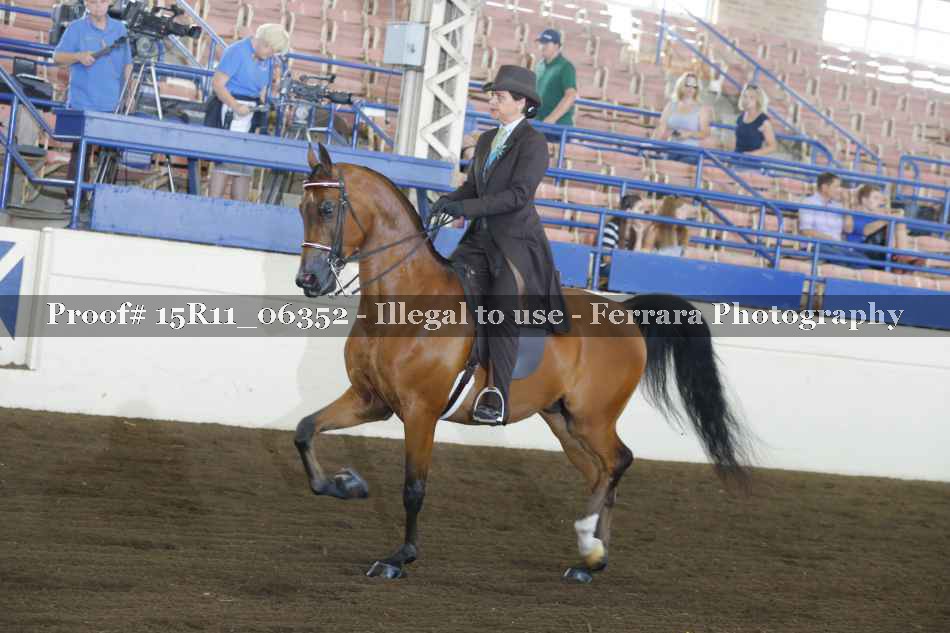 Proof Number 15R11_06352