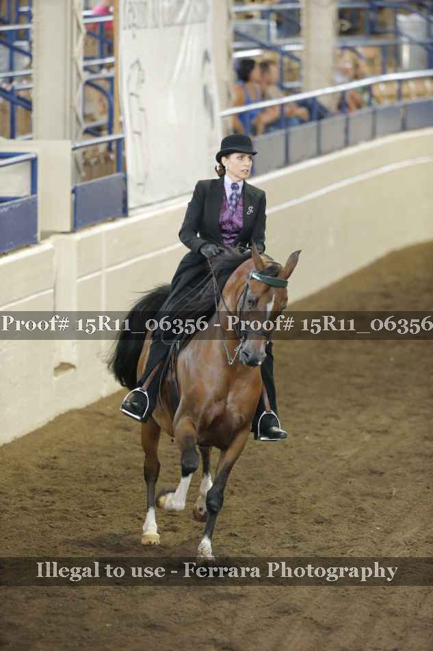 Proof Number 15R11_06356