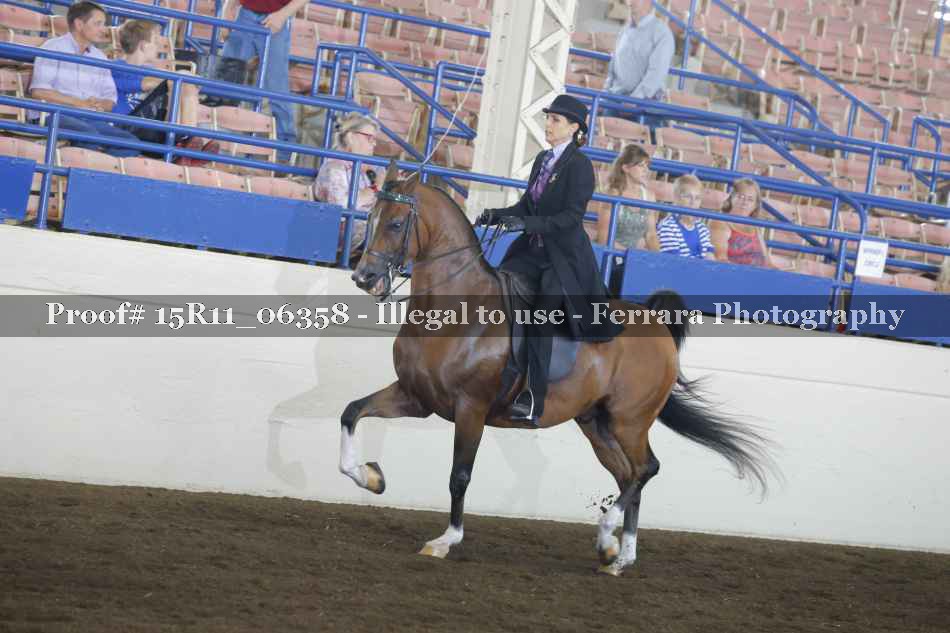 Proof Number 15R11_06358