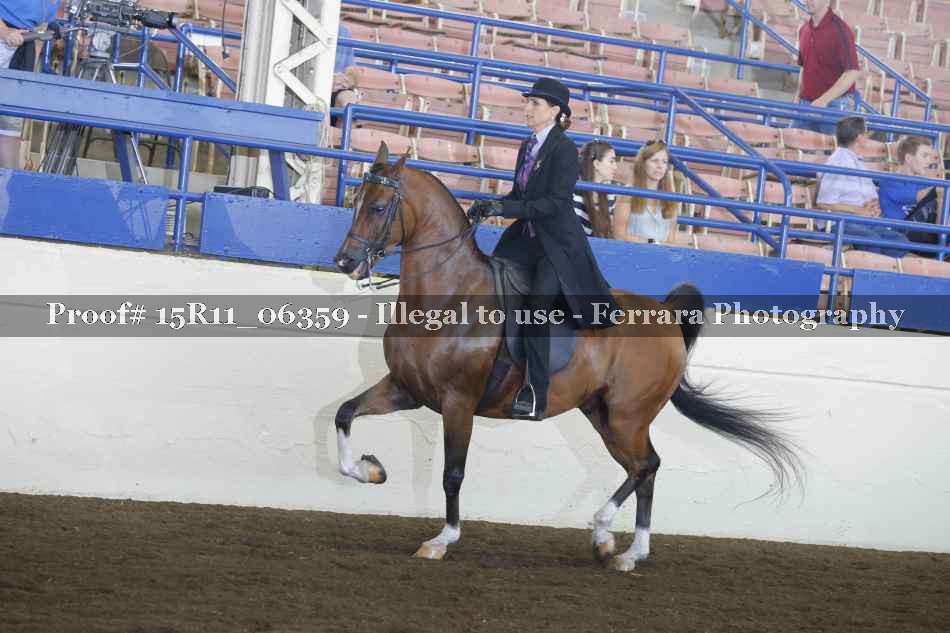 Proof Number 15R11_06359