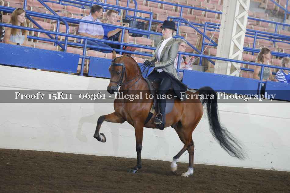 Proof Number 15R11_06361