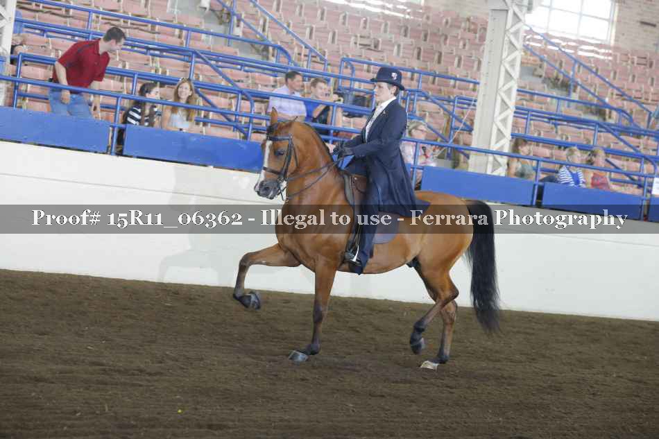 Proof Number 15R11_06362