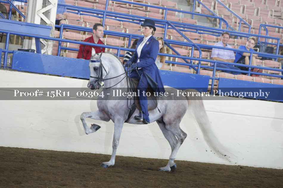 Proof Number 15R11_06364