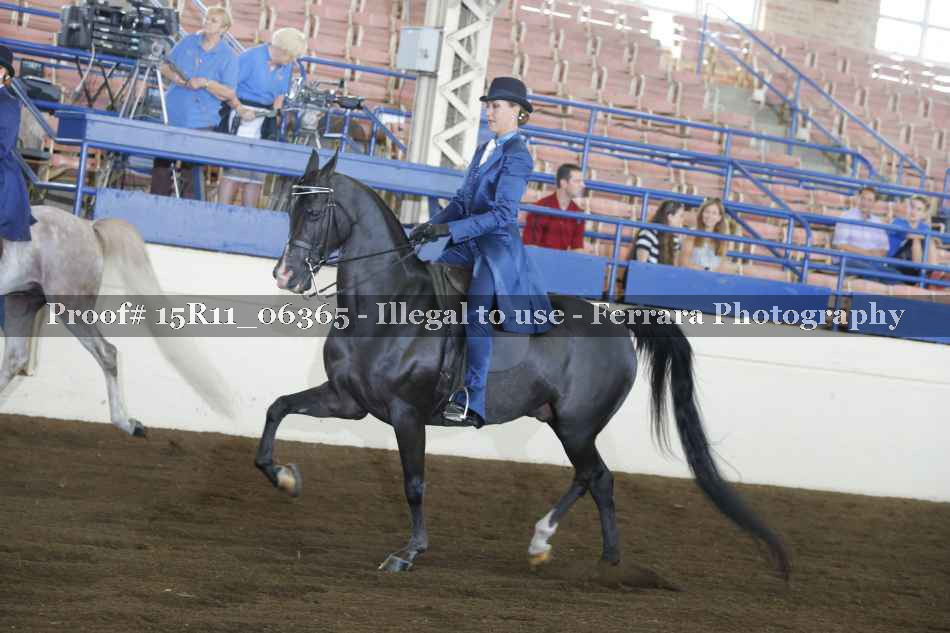 Proof Number 15R11_06365
