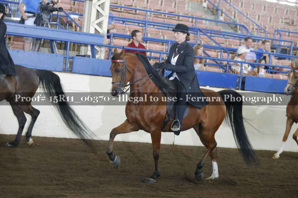 Proof Number 15R11_06370