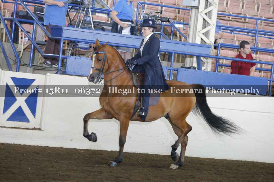 Proof Number 15R11_06372