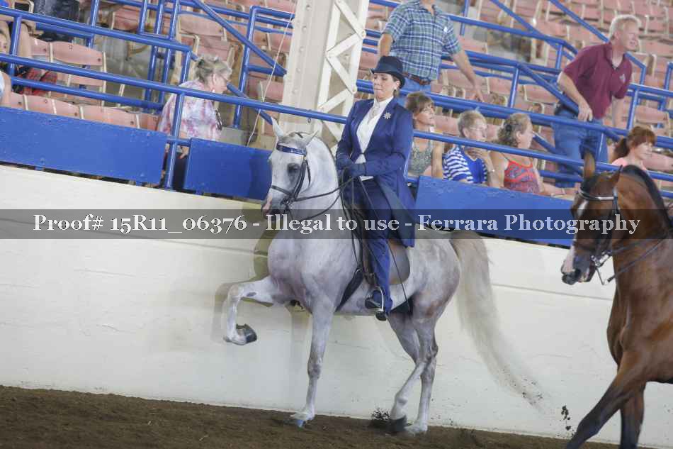 Proof Number 15R11_06376